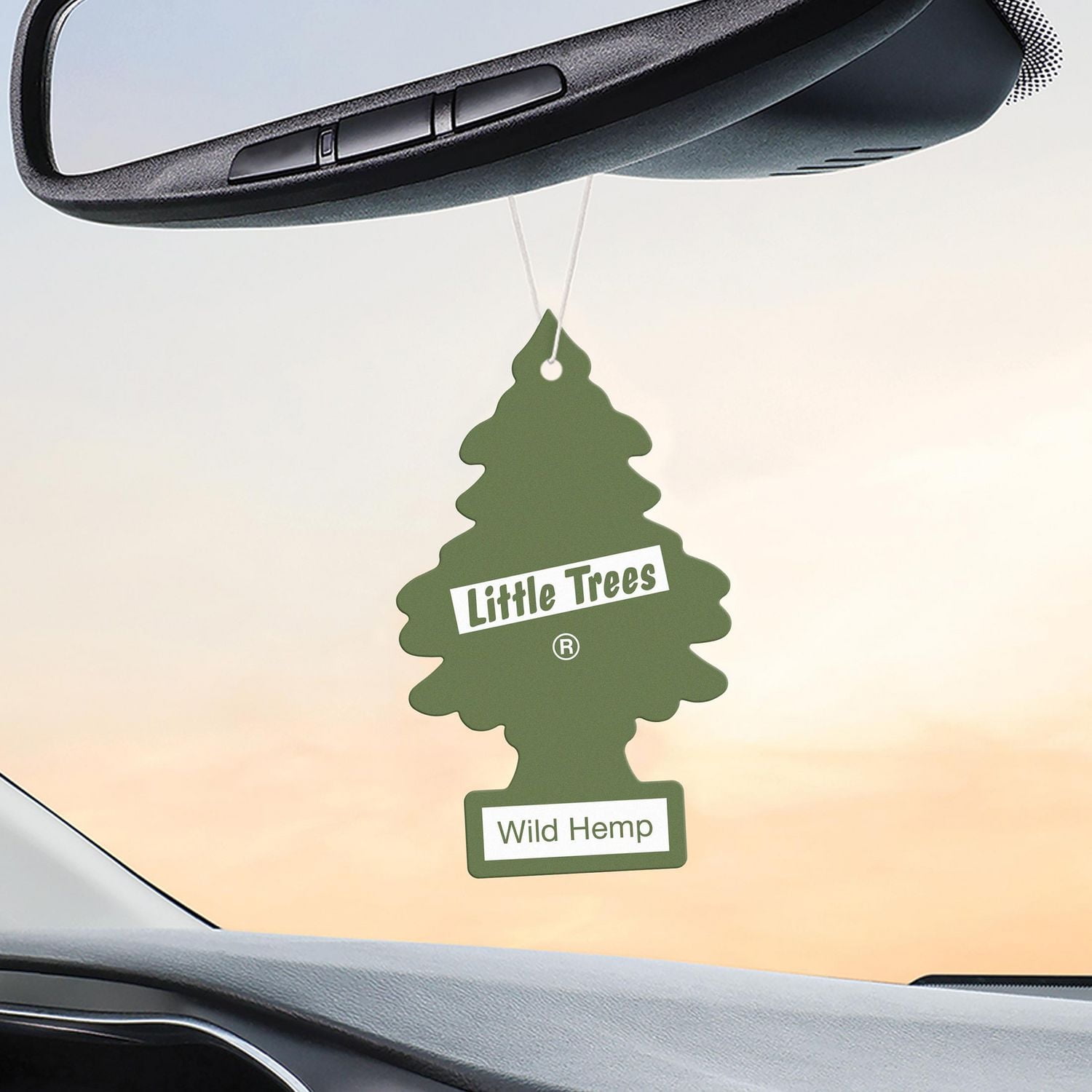 LITTLE TREES air freshener Wild Hemp 3-Pack
