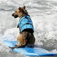 thumbnail image 1 of Liquidación de Ropa de Mujer Chaleco Salvavidas para Perros Xihbxyly Disfraz, 1 of 2