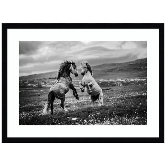 Amanti Art Wild and Free Horses Wood Framed Wall Art Print