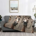 thumbnail image 2 of Uemuo Funny Horse Faces Expressions Printed Throw Blanket for Couch, Fluffy Fuzzy Blankets for Bed, Sofa, Cozy Flannel Faux Fur Blanket-80"x60", 2 of 6