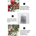 thumbnail image 3 of Cateissary Luces LED de frutas rojas alimentadas por encantadora para el hogar lámparas portátiles de guirnalda de Navidad para Iluminación navideña Tipo 2 Cateissary HA073645-02, 3 of 6
