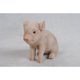thumbnail image 5 of Figura Hi-Line Gift Ltd., cerdito sentado, con manchas negras, 15 cm, 5 of 9