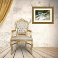 thumbnail image 3 of Zwick, Martin 14x11 Gold Ornate Wood Framed with Double Matting Museum Art Print Titled - River Sarca-Val di Genova in the Parco Naturale Adamello-Brenta-Trentino-Italy-Val Rendena, 3 of 4