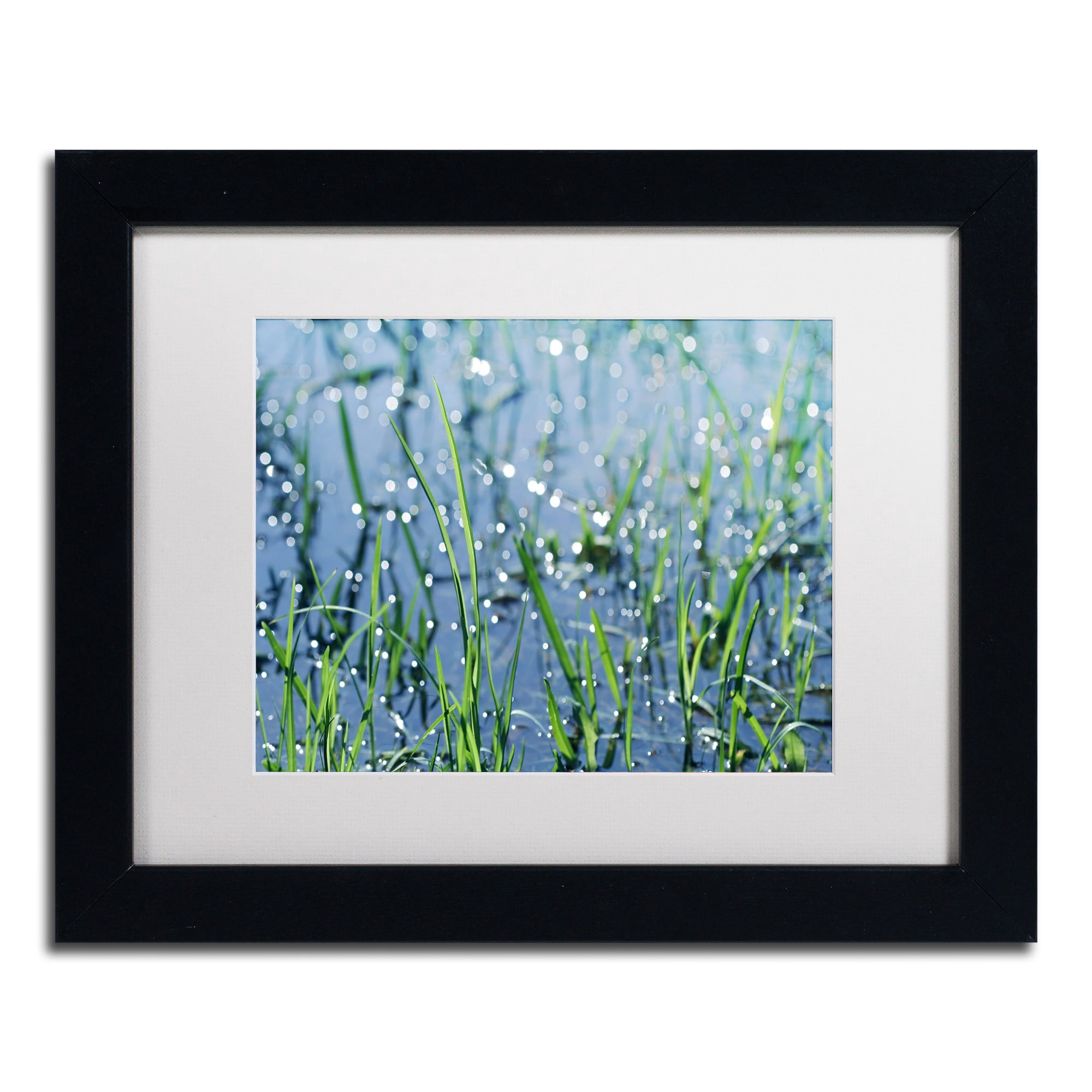 Trademark Fine Art "After the Rain" Canvas Art by Beata Czyzowska Young, White Matte, Black Frame