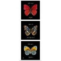 Great BIG Canvas | "Primary Butterfly Panel I" Art Print - 12x36