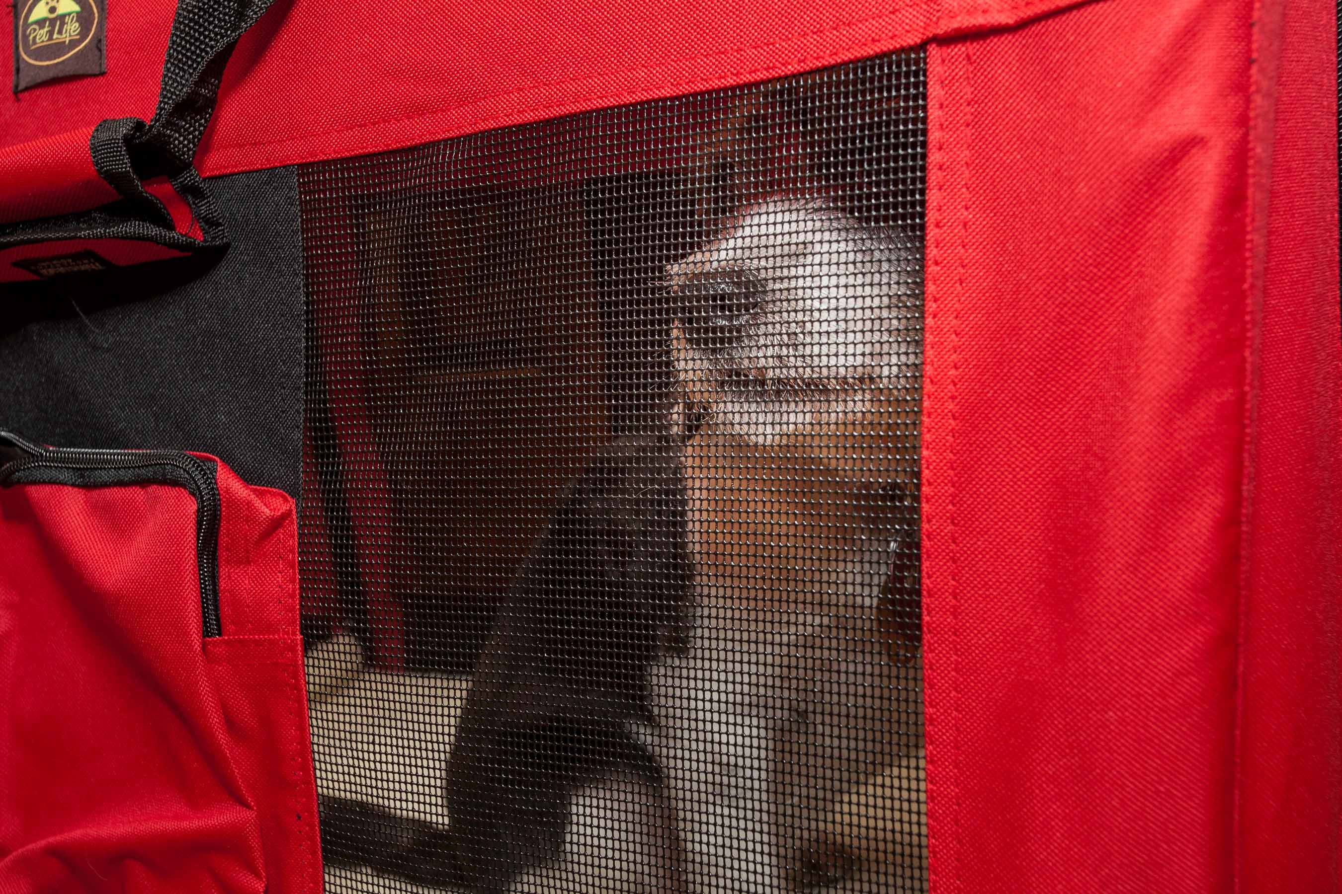 Folding Deluxe 360Â° Vista View House Pet Crate