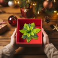 thumbnail image 7 of 2 Pcs Christmas Artificial Glitter Poinsettia Flowers,Christmas Tree Decoration,5.51 inch Glitter Poinsettia Flowers,Christmas Artificial Flowers for Tree Ornaments,Wreath, Mantel & Home Decor, 7 of 7