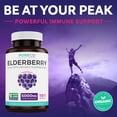 thumbnail image 4 of Pure Co 5,000mg Organic Elderberry Capsules for Immune Support, 10:1 Elderberry Extract, 30 Capsules, 4 of 10