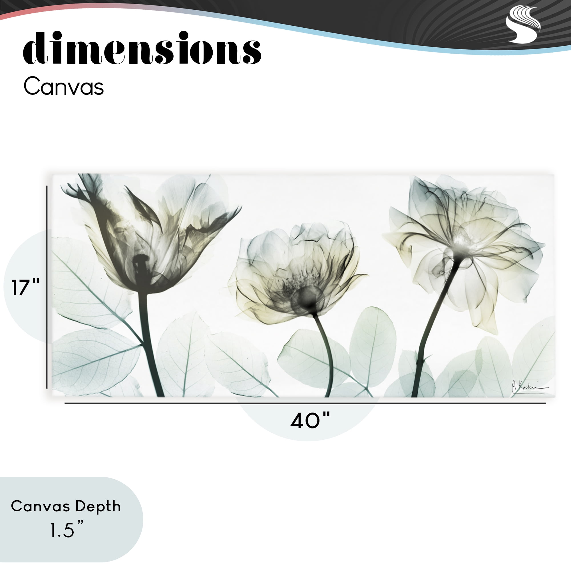Stupell Industries Jewel of Passion Flowers Canvas Wall Art, design by Albert Koetsier
