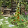 thumbnail image 4 of 3pcs Foldable Plant Climbing Trellis Frame Garden Flower Plant Growing Support, 4 of 7