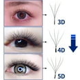 thumbnail image 7 of Qeelasee W Shape Eyelashes Mink Black 4D Eyelash Extensions Natural and Soft individual lashes D Curl 14mm, 7 of 7