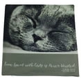 thumbnail image 2 of Cat |  Face | Cat Pillow | Cute Cat | Cat Gifts | Cat Decor | Cat Photo | Gifts for Cat Lovers | Accent pillow | Throw Pillow Covers, 2 of 5