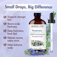 thumbnail image 2 of Majestic Pure Rosemary Essential Oil with Glass Dropper - Huge 4 Fl Oz - 100% Pure and Natural Rosemary Oil - Premium Grade Essential Oils for Diffuser, Aromatherapy, Soap and Candle Making, 2 of 8