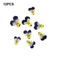 thumbnail image 4 of Injueey 12 Pieces Dried Flower Crafts Simple Flowers Makeup DIY Handicrafts Pressed Accessories Craft Exquisite Make Adornment Type4 NO4, 4 of 6