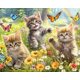 thumbnail image 1 of Rompecabezas Ceaco Gatitos en el Prado de 1000 Piezas, 1 of 9