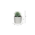 thumbnail image 3 of Vickerman VICK-FV192246 Vickerman 6" Green Potted Succulent 4/Pk Asst - FV192246, 3 of 3