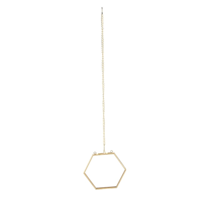 Easy Hung Specimen Picture Frame Specimen Display Frame, Specimen Frame, For Wall Bedroom Office Living Room Coffee Shop