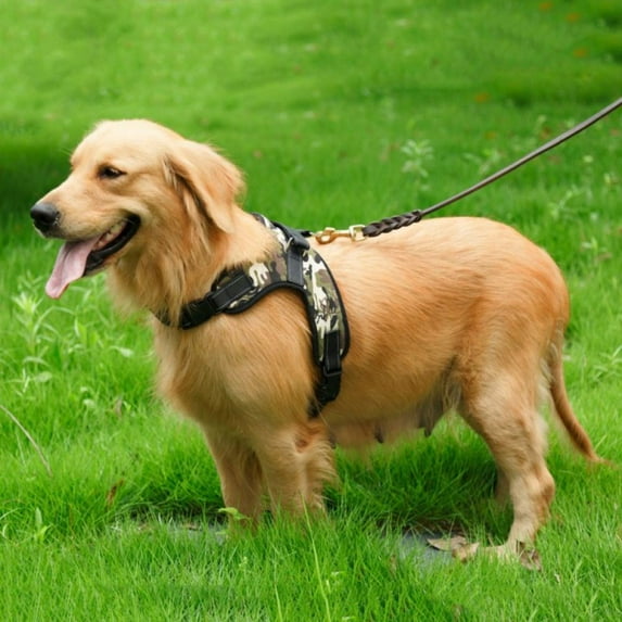 Prettyui Dog Training Harness Adjustable Pet No Pull Pet Working Vest Easy Control For Small Medium Large Dogs