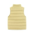 thumbnail image 3 of GYRATEDREAM Toddler Boys Girls Light Weight Down Vest, Baby Solid Color Lightweight Stand Collar Sleeveless Jacket, Kids Zip up Puffer Down Vest for 1-16 Years, 3 of 8