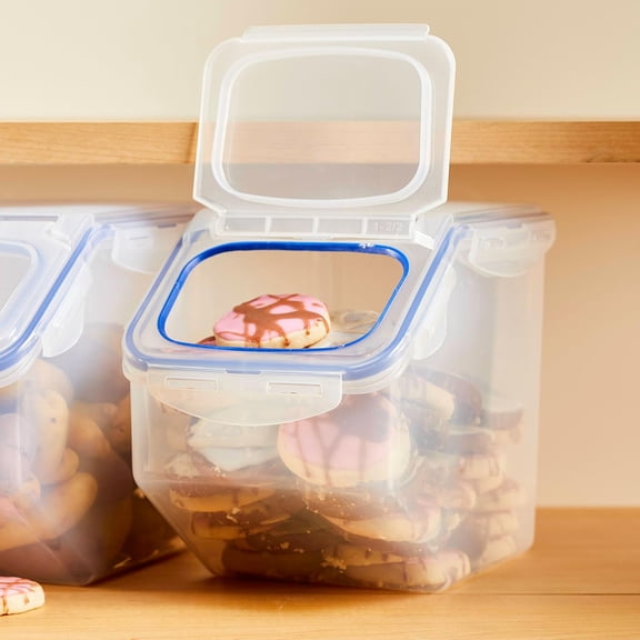 Storage Bins Food Storage Container with Flip-top lids (Large)