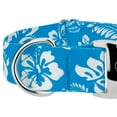 thumbnail image 5 of Country Brook Petz® 1 1/2 inch Premium Blue Hawaiian Dog Collar, Large, 5 of 5