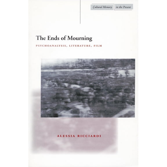 Cultural Memory in the Present: The Ends of Mourning : Psychoanalysis, Literature, Film (Paperback)