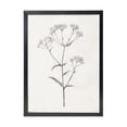 thumbnail image 5 of Vintage Farmhouse Style Waterproof Black-Framed Botanical Line Art Canvas Mural - Suitable for bedrooms, living rooms, studies, minimalist and country-style home wall decorations. 11x14 in, 5 of 8