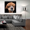 thumbnail image 5 of Epic Art 'Hippy Lama' by Epic Portfolio Acrylic Glass Wall Art, 36"x36", 5 of 8