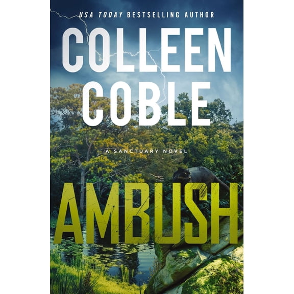 Pre-Owned Ambush: A Small-Town Romantic Suspense (Hardcover) 0840714351 9780840714350