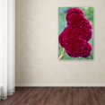 thumbnail image 4 of Trademark Fine Art Kurt Shaffer 'Coxcomb Flower' 30 x 47 (KS01030-C3047GG), 4 of 4