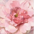 thumbnail image 2 of Art.com Blushing Peony Stretched Canvas Print Wall Art by Danhui Nai, 30" x 30", 2 of 4