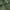 Green-black, variant on In- & Outdoor Rug Jungle Design with Palm Trees in Green White