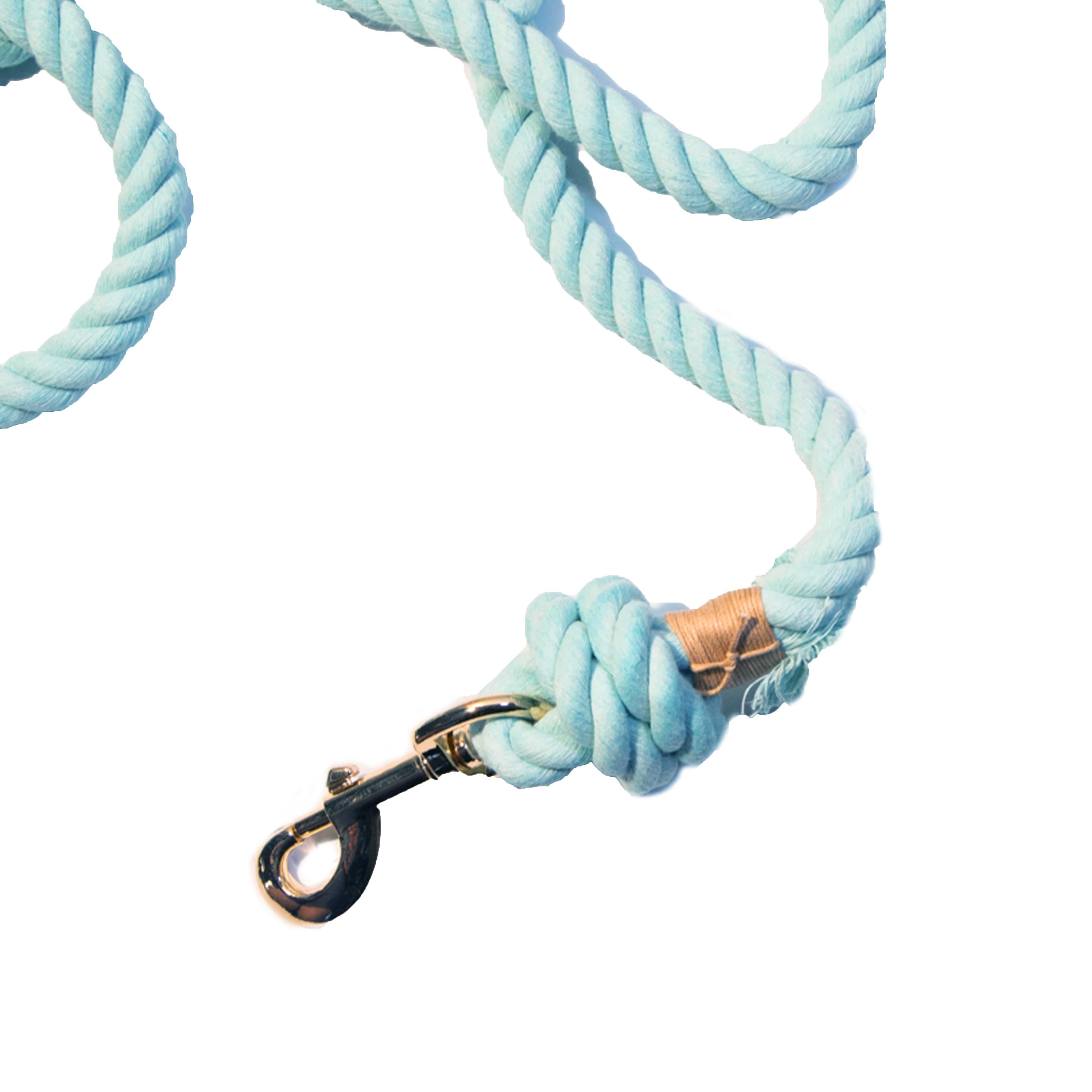 Light Blue Rope Dog Leash - Glow Pups