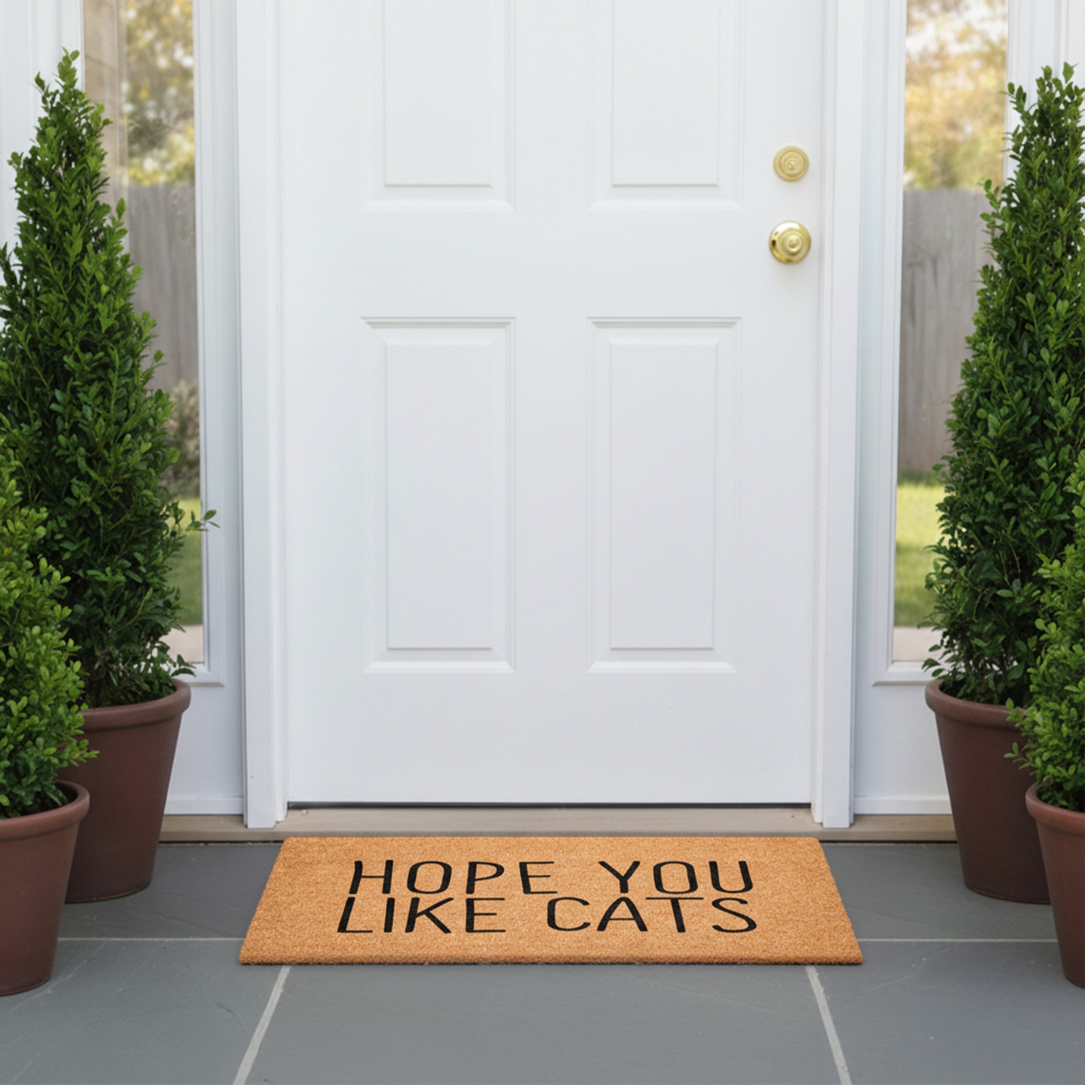 Calloway Mills 117871729 Hope You Like Cats Doormat, 17" x 29"