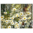 thumbnail image 3 of Designart - Daisies Flowers Under the Window - Floral Art Canvas Print, 3 of 4
