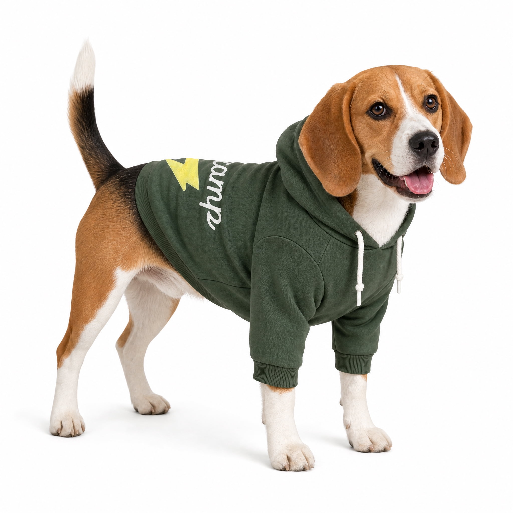 Oodles Champ Fall Lightning Bolt Dog Hoodie, Green, Medium