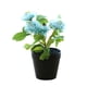 thumbnail image 1 of Whataatahia Bola de flores falsas crisantemo pequeño bonsái decoración de escritorio planta verde artificial maceta de plástico en maceta, 1 of 5