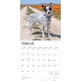 thumbnail image 3 of Australian Cattle Dogs | 2026 12x24" (Hanging) Square Wall Calendar | Plastic-Free, 3 of 9