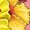 Mauve, variant on Inktastic Hawaii Girl Hibiscus Flowers Toddler Sweatshirt