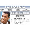 thumbnail image 1 of Signs 4 Fun Permis de Conduire NASID Adam Sandler, 1 of 3