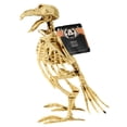 thumbnail image 2 of Set of 1-CLY Plastic Bird Skeleton Decorations Halloween Bird Skeleton 7x6x7in. Bird Skeleton Halloween Decor Bird Skeleton in Bulk, 2 of 2