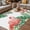 white, variant on Pink Flamingo Birds Outdoor Rug for Patio/Deck/Porch, Non-Slip Large Area Rug 5 x 7 Ft, Summer Tropical Plants Flowers Indoor Outdoor Rugs Washable Area Rugs, Reversible Camping Rug Carpet Runner