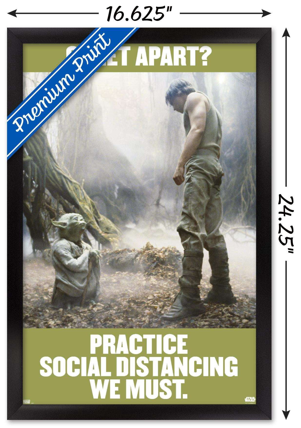 Star Wars: Saga - Luke and Yoda Social Distancing Wall Poster, 14.725" x 22.375", Framed