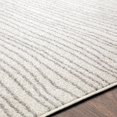 thumbnail image 3 of Surya Seville 2' X 3' Rectangle Area Rugs With Medium Gray And White SEV2307-23, 3 of 6