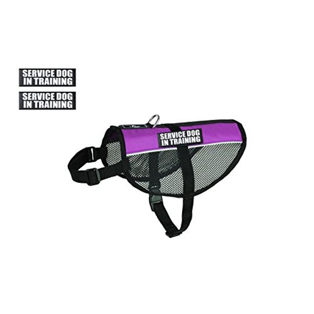 Service Dog in Training mesh Vest Harness Cool Comfort ...
