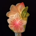 thumbnail image 1 of Lumière de Nuit de Fleur d'Azalée, 1 of 1