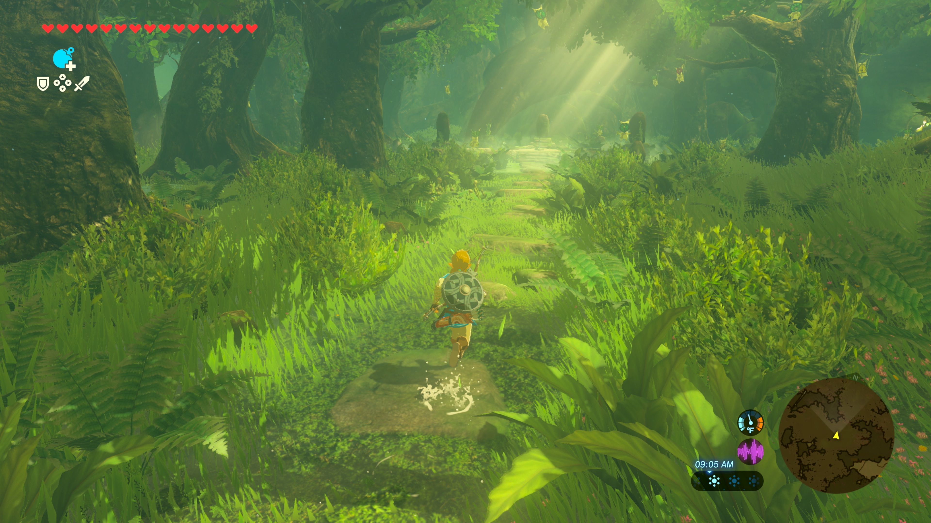 The Legend Of Zelda: Breath Of The Wild - Switch 2 Edition photo 2
