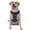 With Accessories, variant on Vsdgher Mathematics And Chemistry Pattern Dog Harness,No Pull Pet Harness with Soft Padded Handle,Adjustable Reflective Vest with 2 Buckles,4 Slide Buckles,S-XL