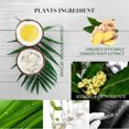 thumbnail image 4 of 100ml Ginger Shampoo Oil Control Anti Dandruff Refreshing Hair Care Shampoo, 4 of 10