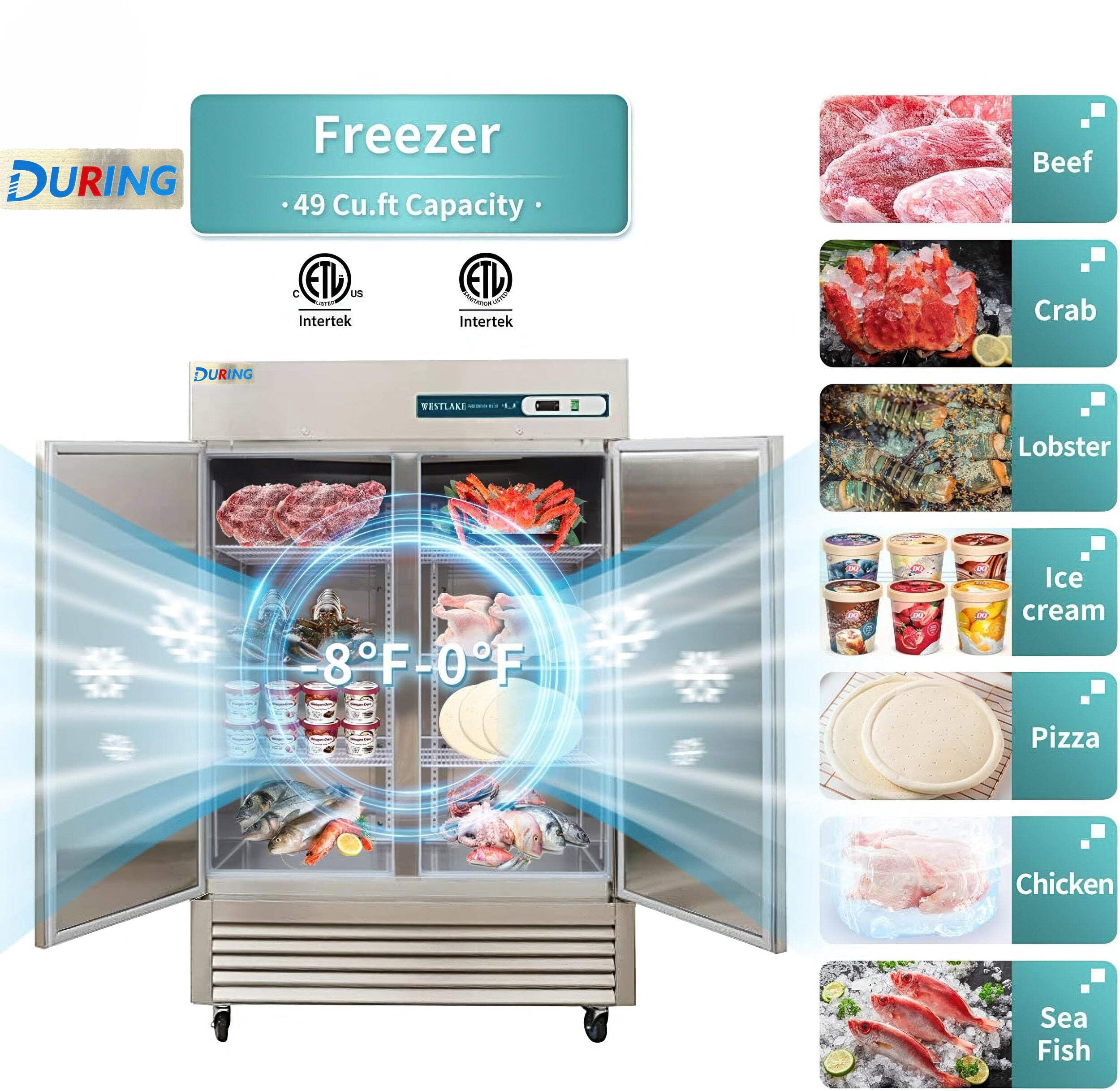 DURING D-KF-54B 54"W 2-Door Solid Commercial Reach-in Freezer, 49 Cu.ft for Restaurant, Bar, Shop